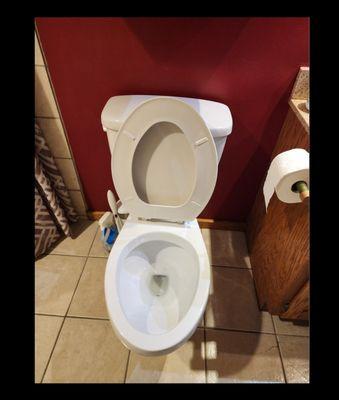 The Diamond Cleaning Services