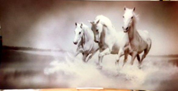 2'x1' tempered Glass Print