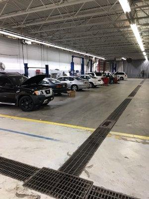 Another full house today!