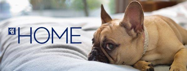 Shandra Fuerte - Coldwell Banker Realty