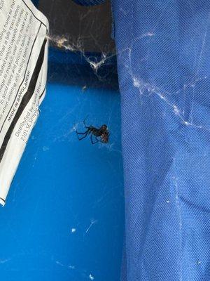 Arborstone Self Storage - Mounds