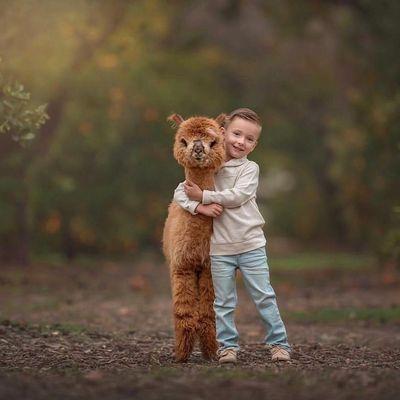 Snowflake Alpaca Ranch