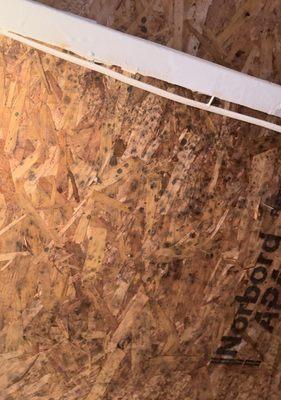 Meadowood Apartments