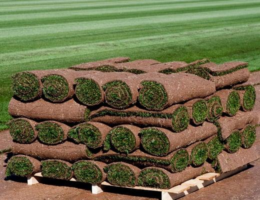 Southwest Sod