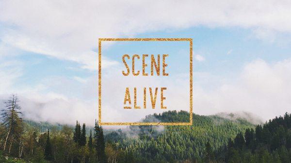 Scene Alive
