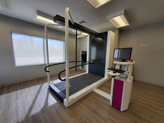 Balance and Mobility Therapy