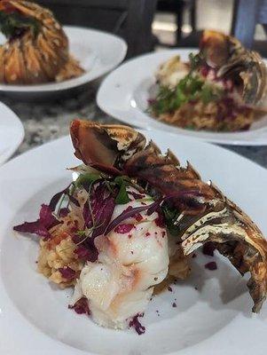 Refined Personal Chef and Catering