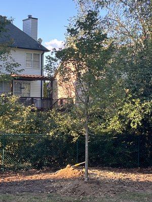 Mullinax B L Landscaping & Shrubbery