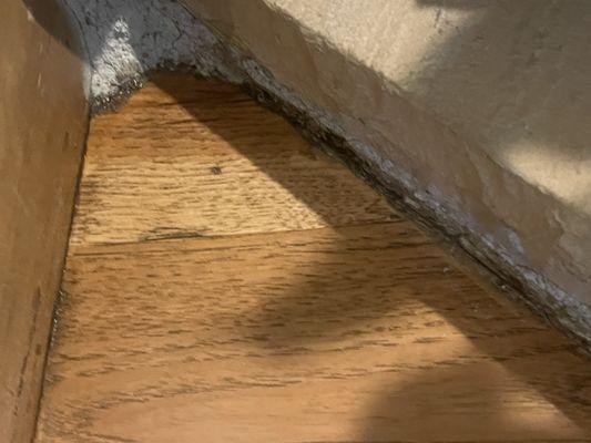 Woody's Hardwood Flooring