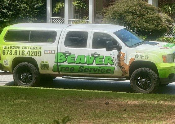 Beaver Tree Service