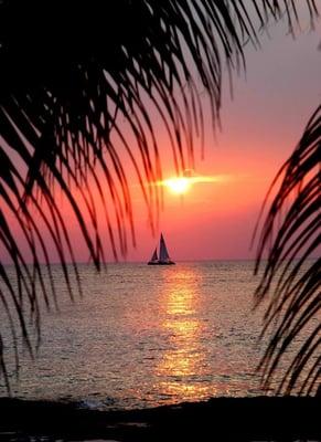Sunset Palms Vacations