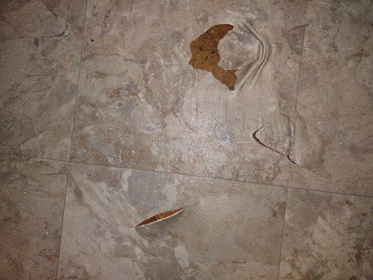 Palatka Flooring Center