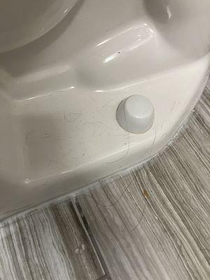 Pubes & hairs on toilet base upon check-in