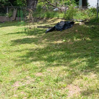 Circle T Lawn and Tree Services