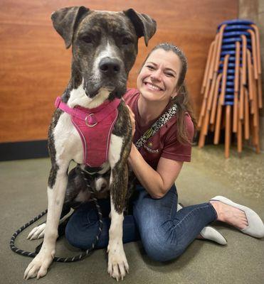 Hounds Town Indian Trail