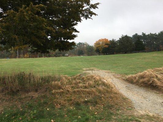 Heading to the 5th hole