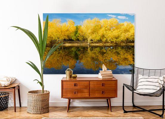 Yellow Trees in Fall with reflection on lake. Family room setting.