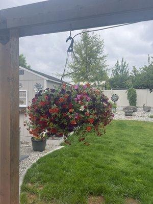 Vanhoff 's Garden Center