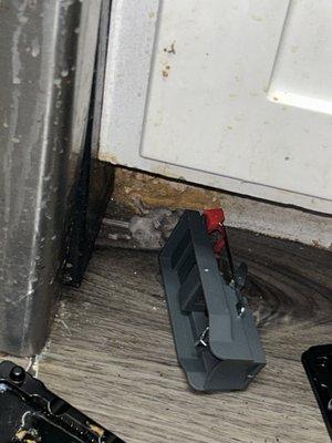 Bridge Pointe Landing Apartments