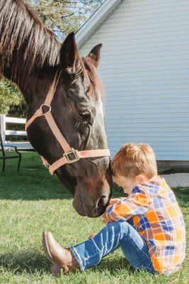 Starz Equestrian Center