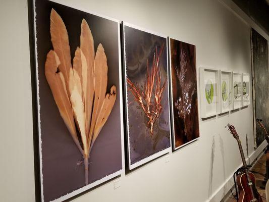 McEachern Art Center