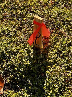 keystone Land Surveying