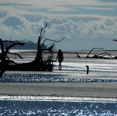 Savannah Coastal Ecotours