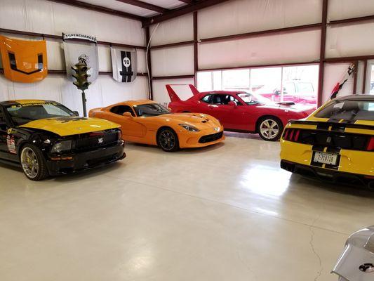 The Stable Performance Cars