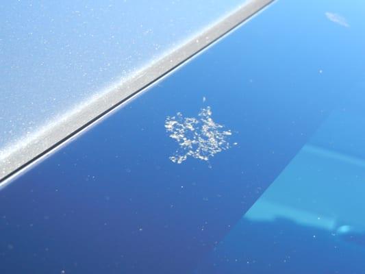 AFTER THE CAR WASH RIPPED MY MIRROR OFF -- IT STILL DIDN'T GET THE DIRT OFF MY CAR?!?! WHAT A JOKE!