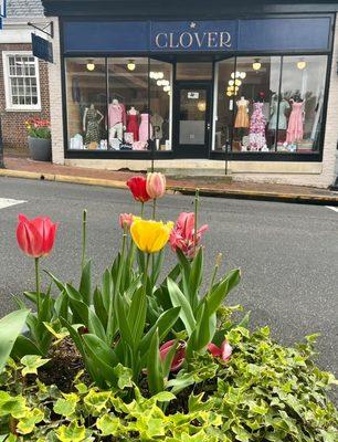 Clover Boutique