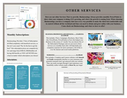 Businessology Advertising