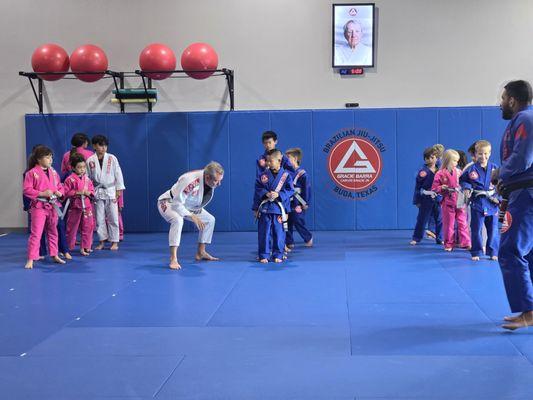 Gracie Barra Buda