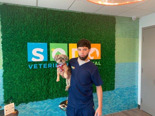 SODO Veterinary Hospital