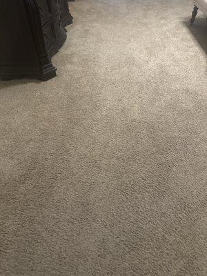 Steam Deluxe Carpet Cleaning