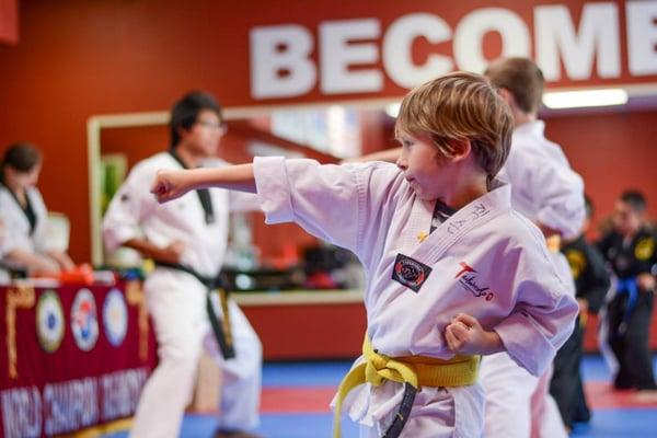 World Champion Taekwondo