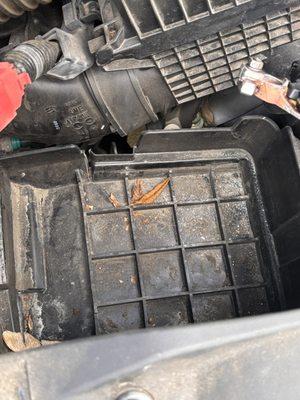 Instead of realizing that they had the wrong size battery, they push it through and crack everything and now this needs to be replaced