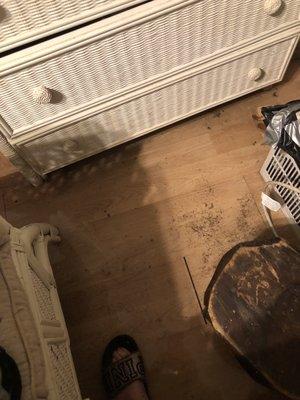 Bedroom flooded