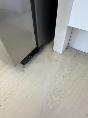 Adam's Janitorial Service