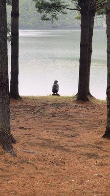 The view from our front door