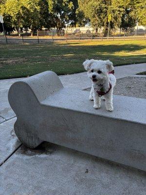 BarkleyVille Dog Park