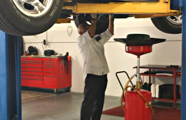 Adel hard at work, as always!