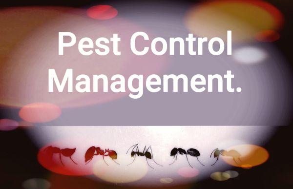 AD Pest Control Management
