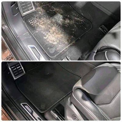 Expert Car Detailing