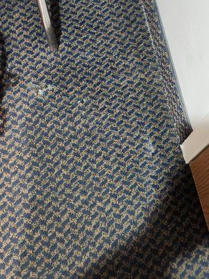 Carpet was ripped in many places and looked very solid.