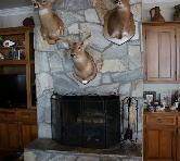 Shenandoah Plantation