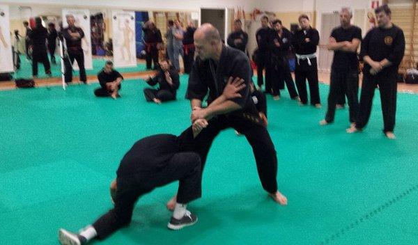 Reflex Fighting Arts