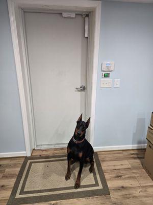 All Secure Alert Systems