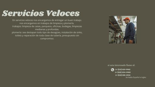 Servicios Veloces