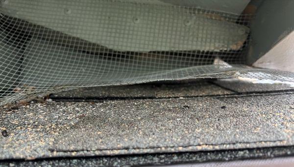 Rat barrier detached from roof.