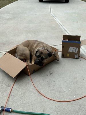 Peak City Veterinary Hospital